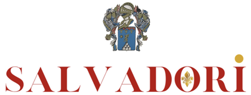 Villa Silvia logo