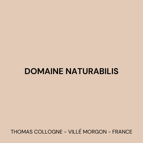 Domaine Naturabilis logo