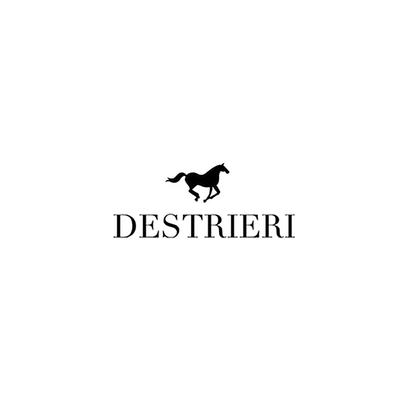 Destrieri logo