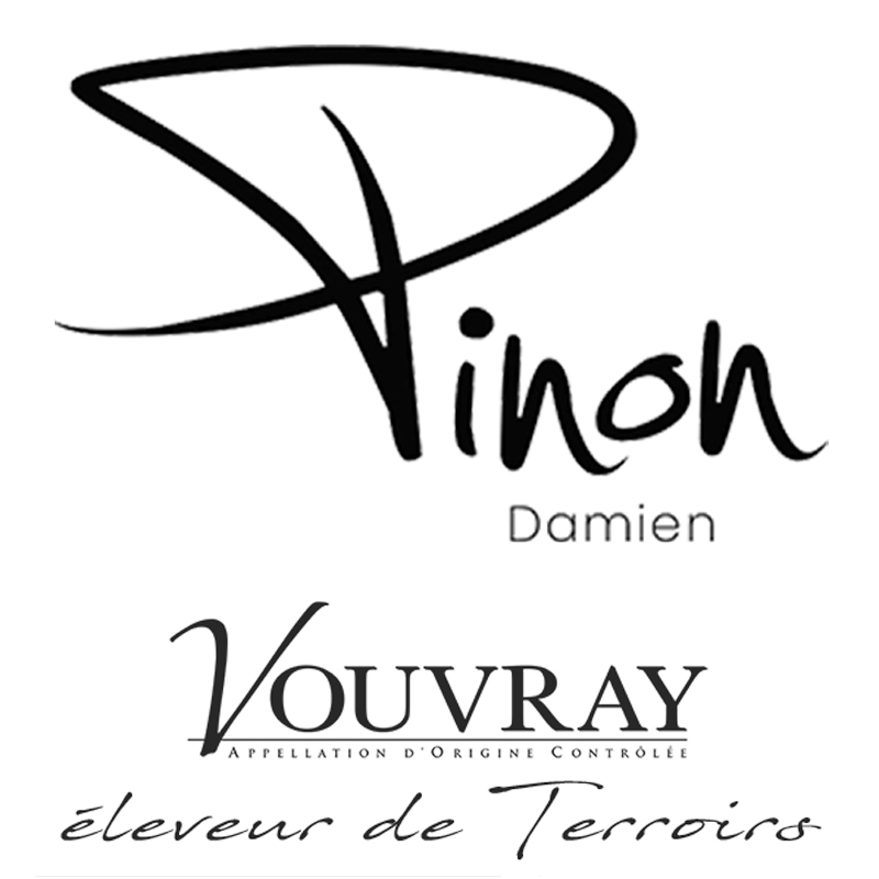 Logo van Damien Pinon