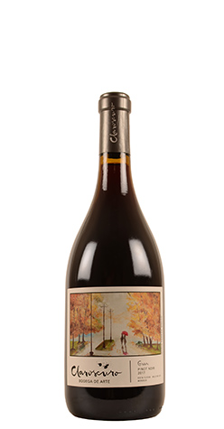 afbeelding van Uco Valley - Bodega de Arte