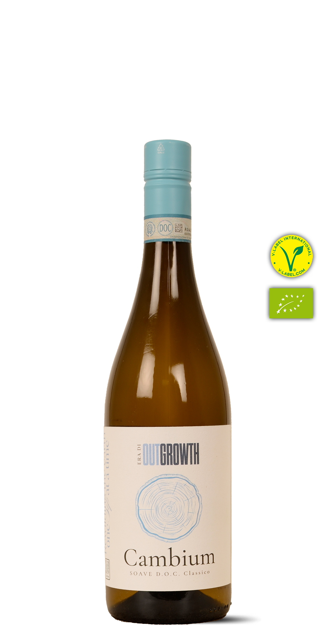 afbeelding van Cambium