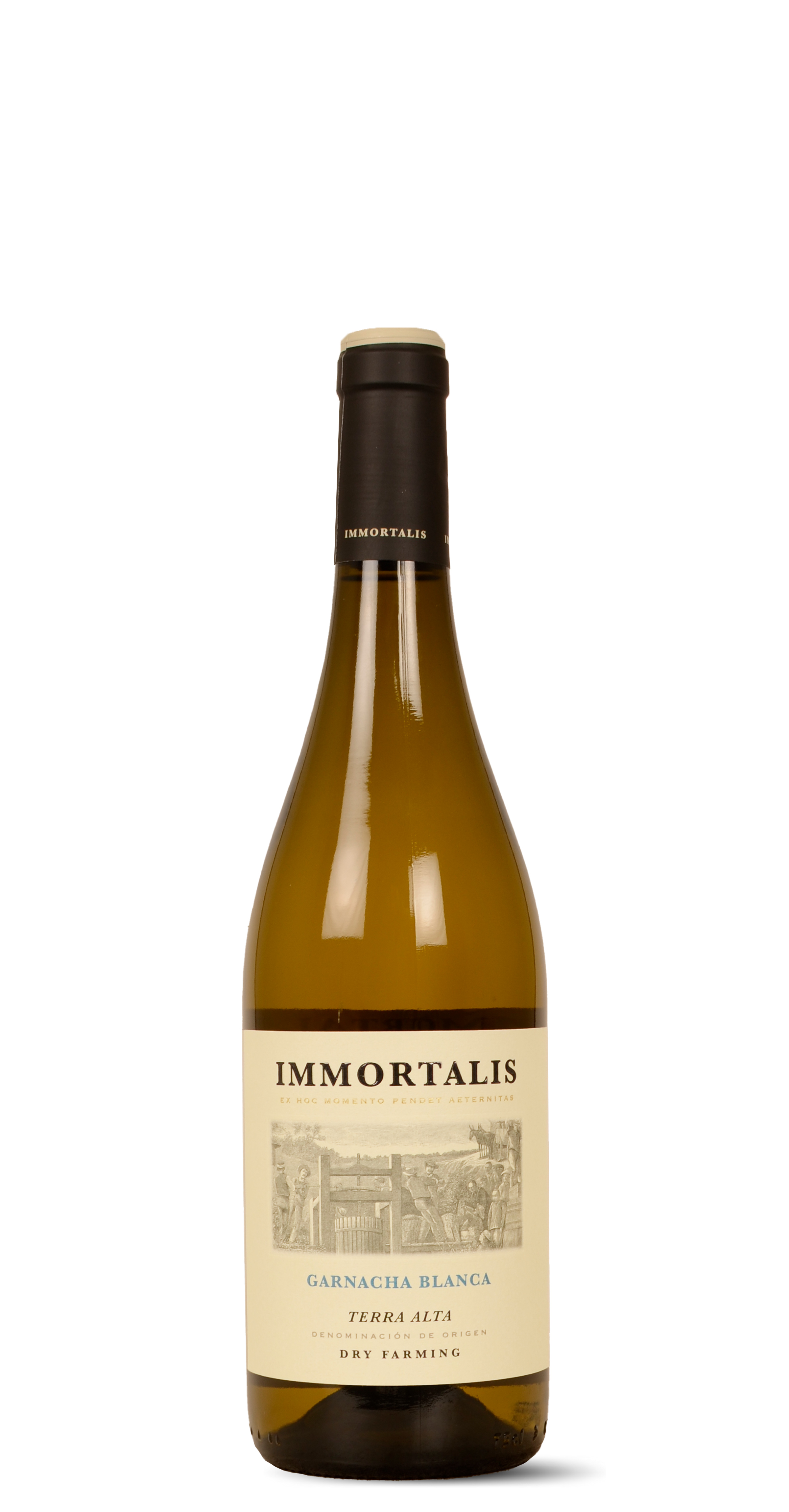 afbeelding van Garnacha - Terra alta
