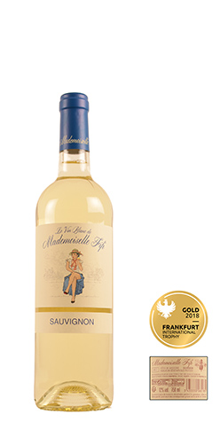 afbeelding van Mlle Fifi